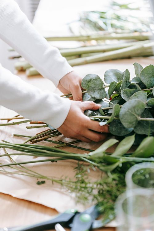 Hands gathering eucalyptus stems at a florist’s workbench